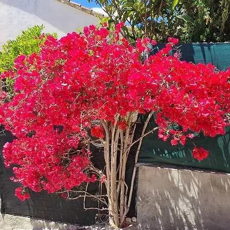 Le Petit Paradis בקתה