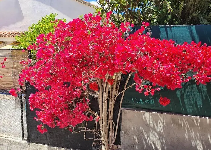 Le Petit Paradis 샬레